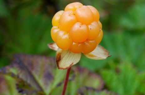 Allikas: http://pilt.delfi.ee/picture/6859995/