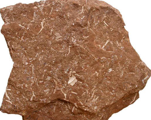 Allikas: http://www.ut.ee/BGGM/maavara/pqlevkivi.html